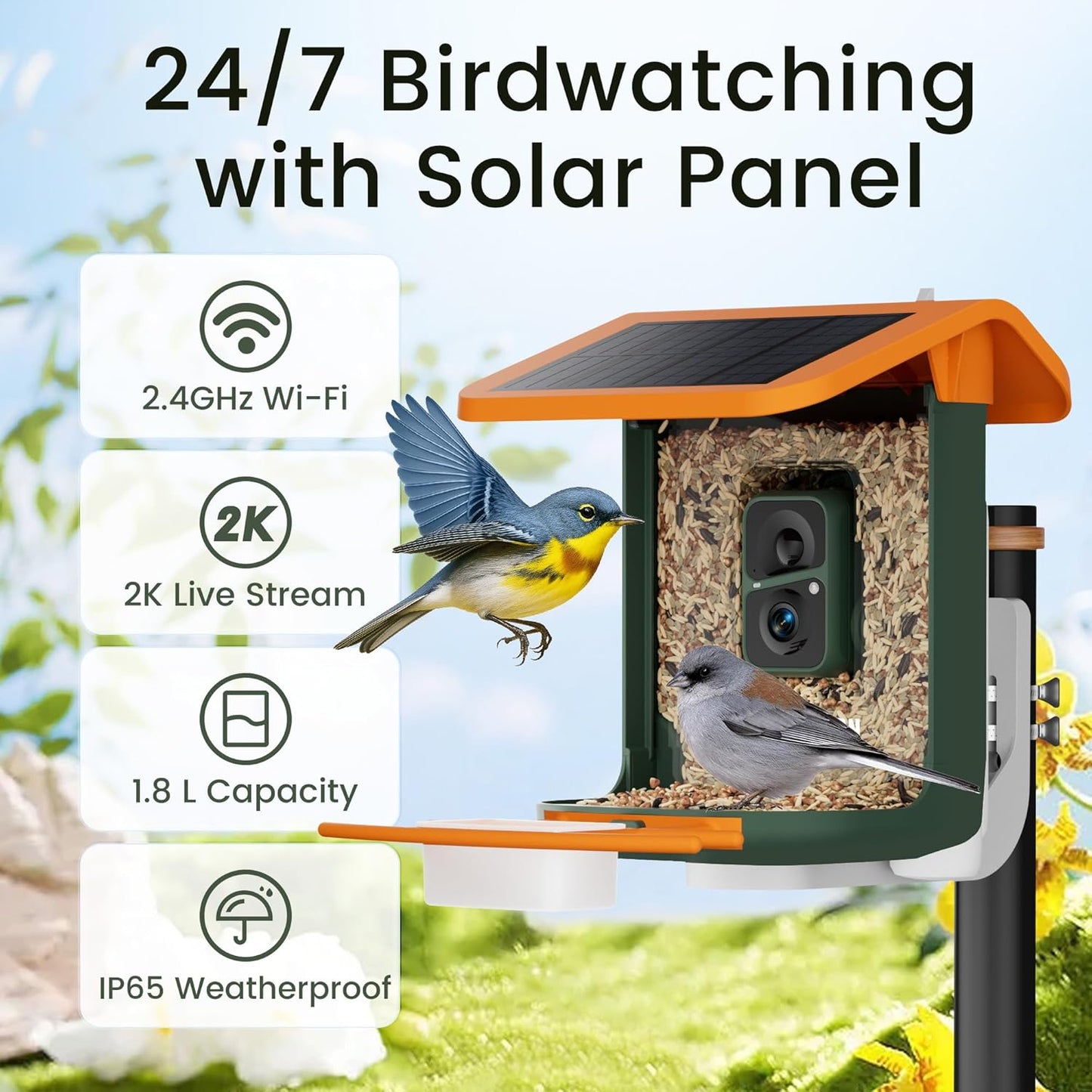 Intelligentes Vogelfutterhaus mit Kamera – nahtlos integriertes Solarpanel